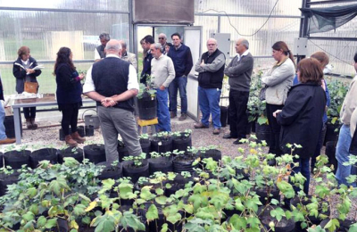 El mejoramiento genético del algodón en la Fiesta Nacional