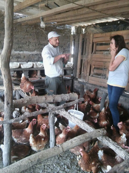 rural2.jpg