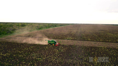 Gran preocupación en el campo por nuevo ajuste que afectará al sector