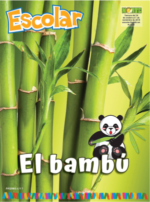 El bambú