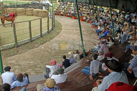 equino.jpg
