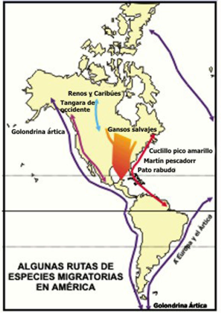 escolar4.jpg