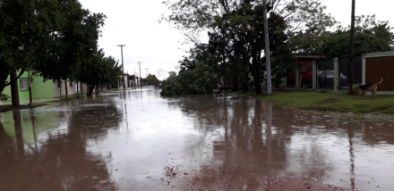 Pinedo 2.jpg