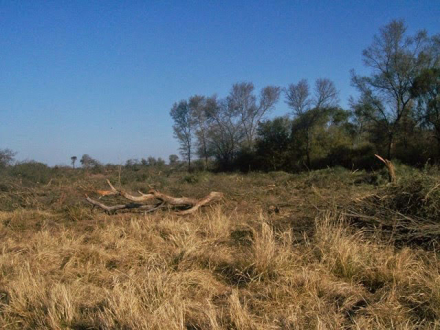 desmontes.jpg