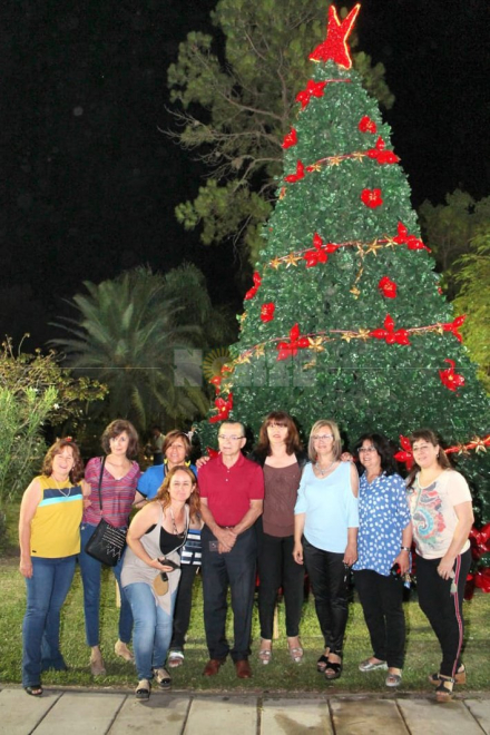 arbolito navidad sp (2).jpg