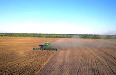 Garbanzo en el Chaco: una alternativa atractiva y promisoria