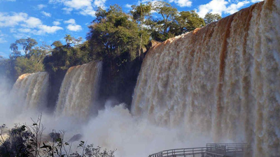 Malestar oficial en Misiones por falsas noticias acerca de supuesto brote de fiebre amarilla