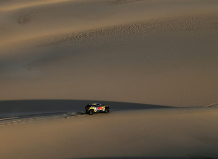 loeb.jpg