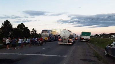 Algunas líneas de transporte volvieron a circular