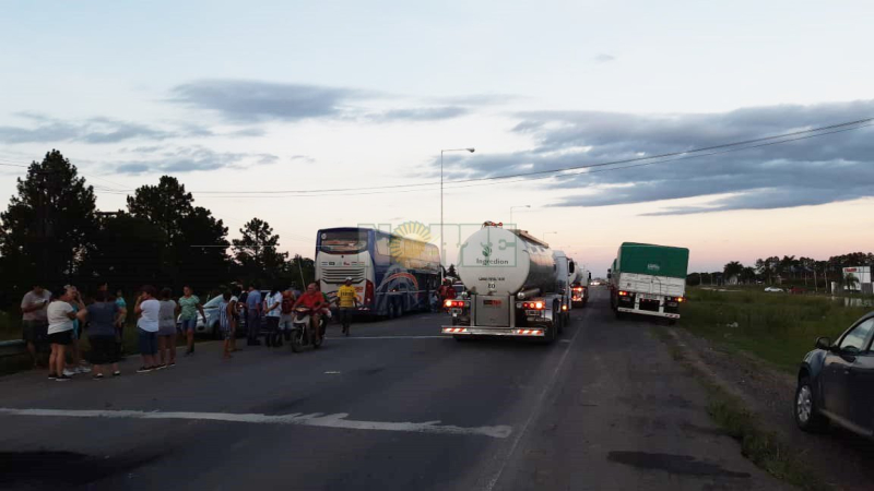 Algunas líneas de transporte volvieron a circular