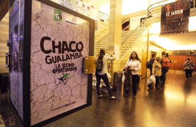 Efectos de la deforestación en el Gran Chaco