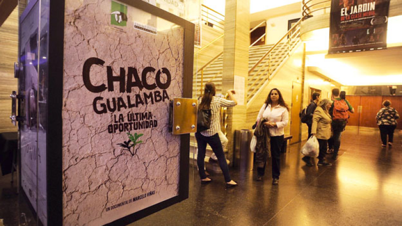 Efectos de la deforestación en el Gran Chaco