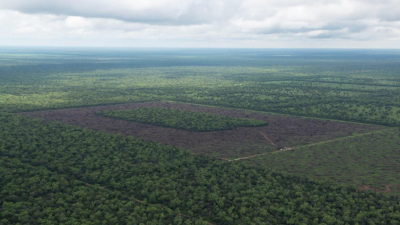 Desmontes: activistas de Greenpeace frenan topadora en El Impenetrable