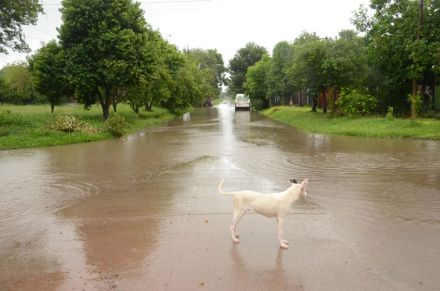 belen3.jpg