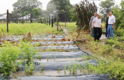 Asistencia municipal para cultivos frutihortícolas