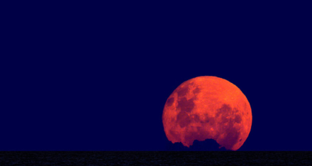 luna2.jpg