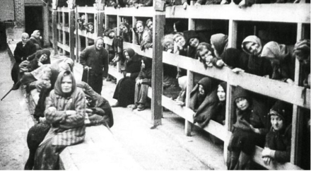 holocausto01.jpg