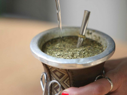 mate.jpg
