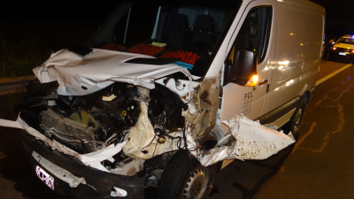 Vehículo de Ciudad Limpia se accidenta en choque con caballos sueltos en la ruta