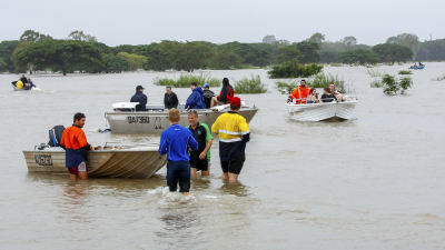 Inundaciones en Australia llevan animales silvestres a las calles