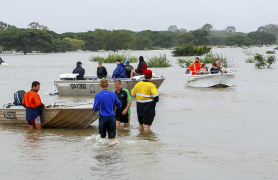 Inundaciones en Australia llevan animales silvestres a las calles