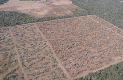 Suspensión de desmontes: opiniones divididas pero surge fuerte compromiso con el medio ambiente