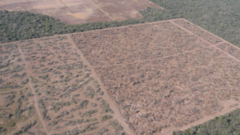 Suspensión de desmontes: opiniones divididas pero surge fuerte compromiso con el medio ambiente