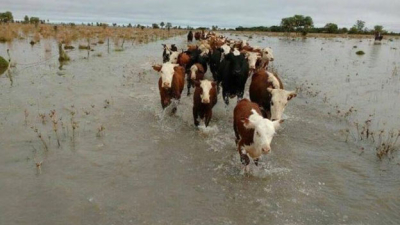 Pequeños productores recibirán asistencia por la emergencia hídrica