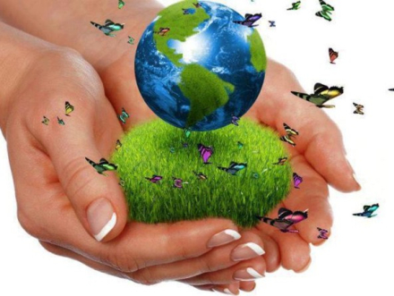 eco_ada2.JPG