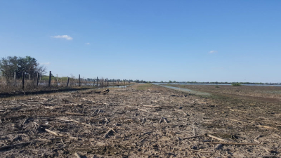 Recuperar los suelos tras los excesos hídricos podría llevar hasta tres años