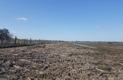 Recuperar los suelos tras los excesos hídricos podría llevar hasta tres años