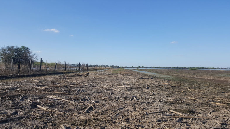 Recuperar los suelos tras los excesos hídricos podría llevar hasta tres años