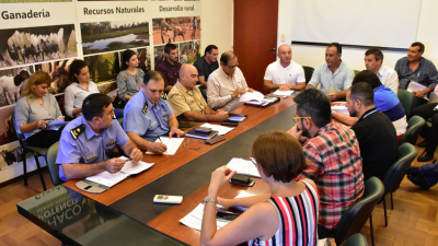 Exportación de madera chaqueña: reiteran las normativas aplicables