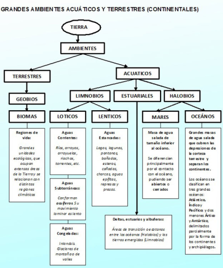 ambientes-acuaticos-cuadro1.jpg
