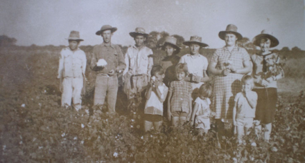 historica-ALGODONES.jpg