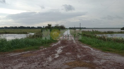 Las excesivas lluvias condicionan la cosecha, pero siguen las expectativas por el algodón
