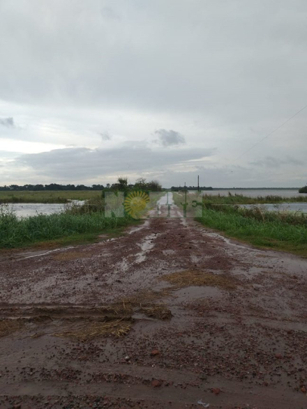 lluvia SP.jpg