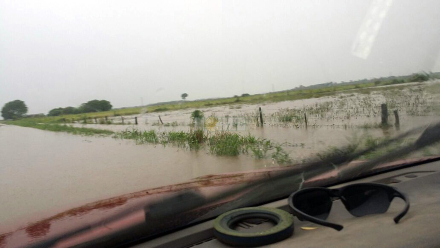 campo anegado.jpg