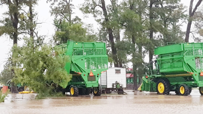 Un desastre hídrico con alto impacto en el aparato productivo chaqueño