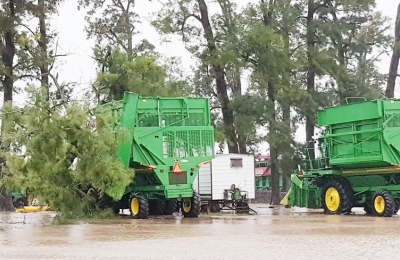 Un desastre hídrico con alto impacto en el aparato productivo chaqueño
