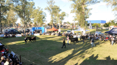 La ganadería tiene otra cita de honor en el Chaco