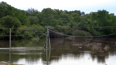 La ganadería también complicada en el Este chaqueño