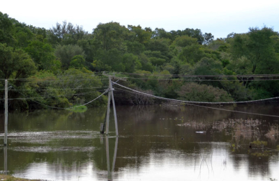 La ganadería también complicada en el Este chaqueño