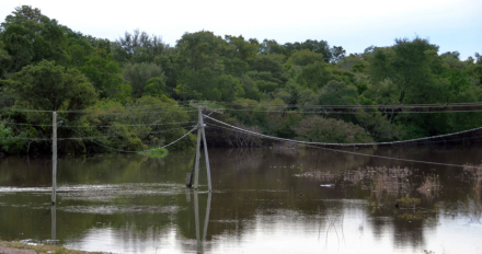CAMPOS-BAJO-AGUA11.jpg