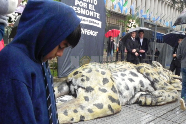 Salvemos al Yaguareté
