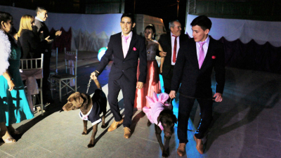 Cumplió 15 y lo celebró con los dos perros de la familia