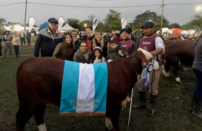 Los mejores exponentes de la Gran Nacional Braford