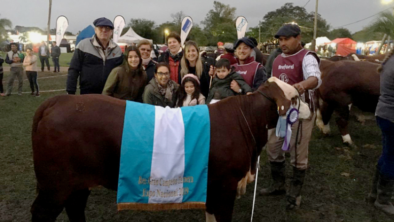 Los mejores exponentes de la Gran Nacional Braford