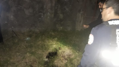 Encontraron sin vida a la bebé de un año que se había perdido en Quitilipi