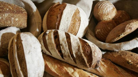 gluten3.jpg